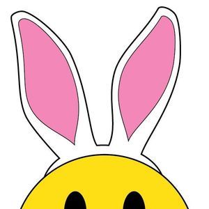 Meet your Posher, Amie